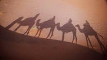 Dune de Merzouga - Maroc