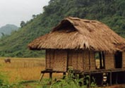 Maison sur pilotis